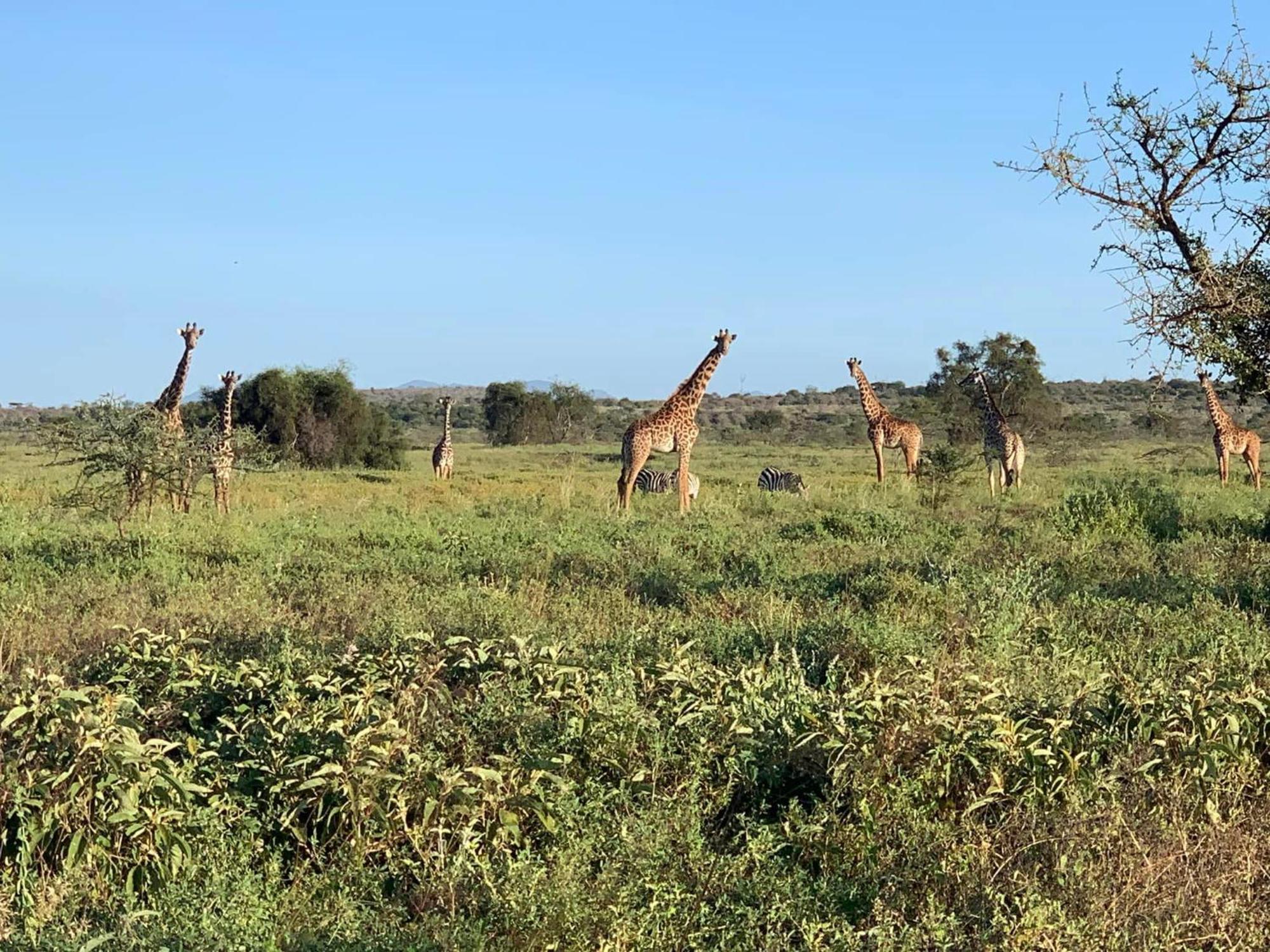 Amboseli Discovery Camp Екстер'єр фото