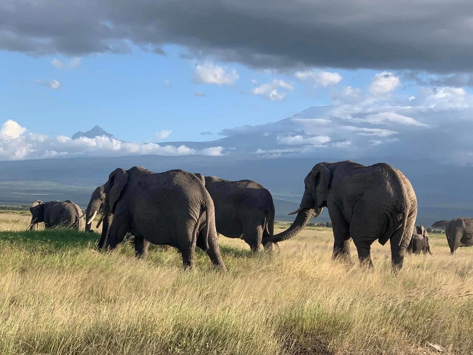Amboseli Discovery Camp Екстер'єр фото