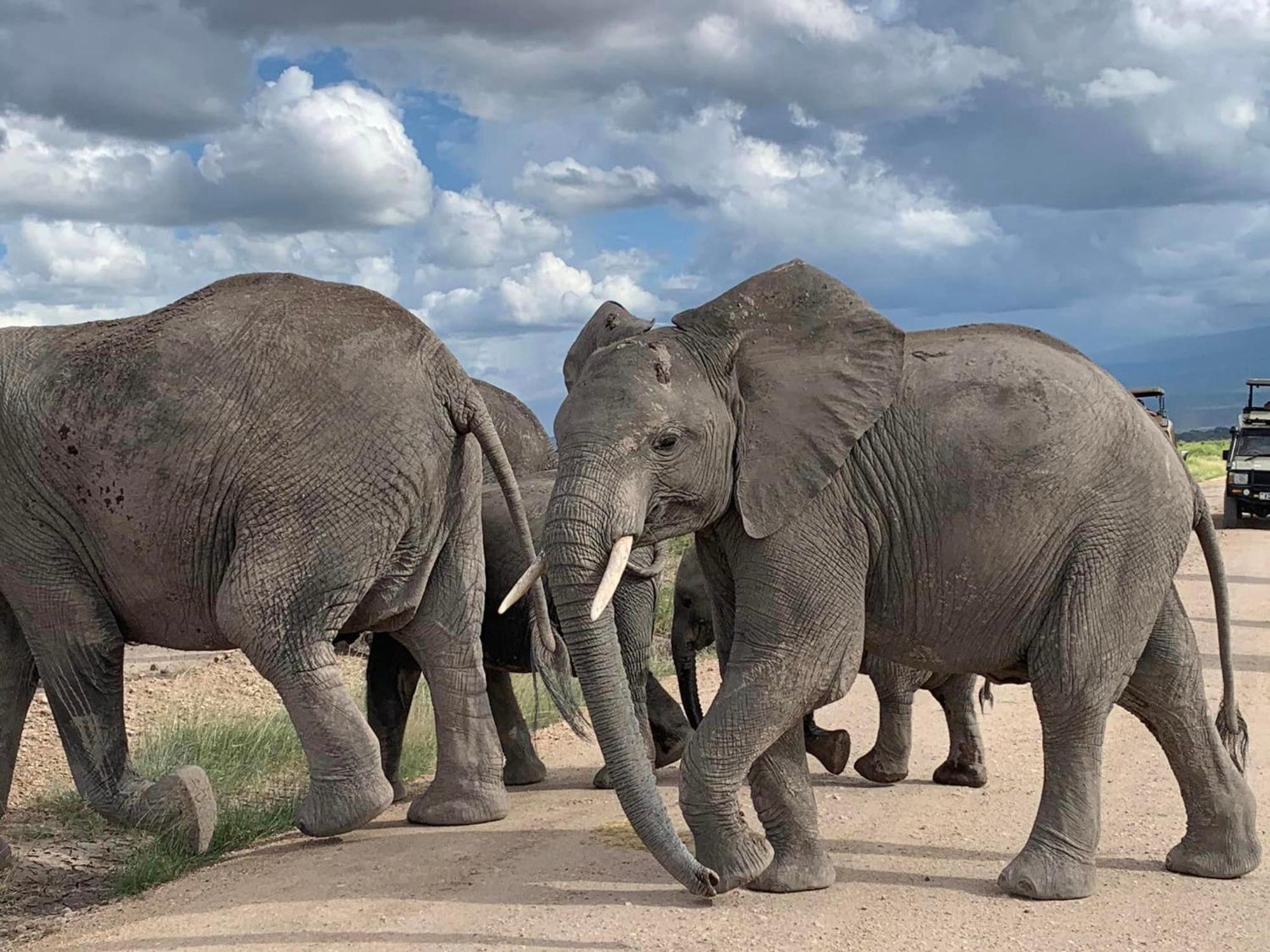Amboseli Discovery Camp Екстер'єр фото