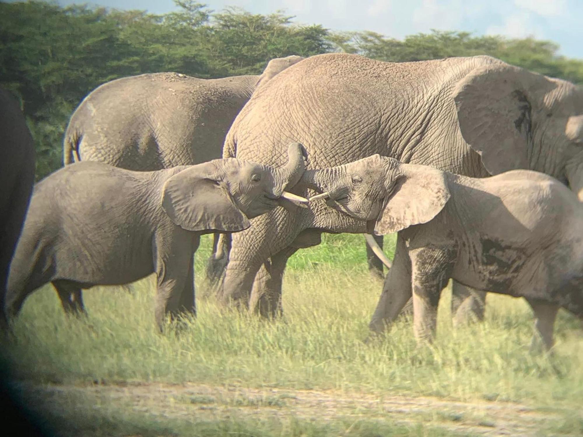 Amboseli Discovery Camp Екстер'єр фото
