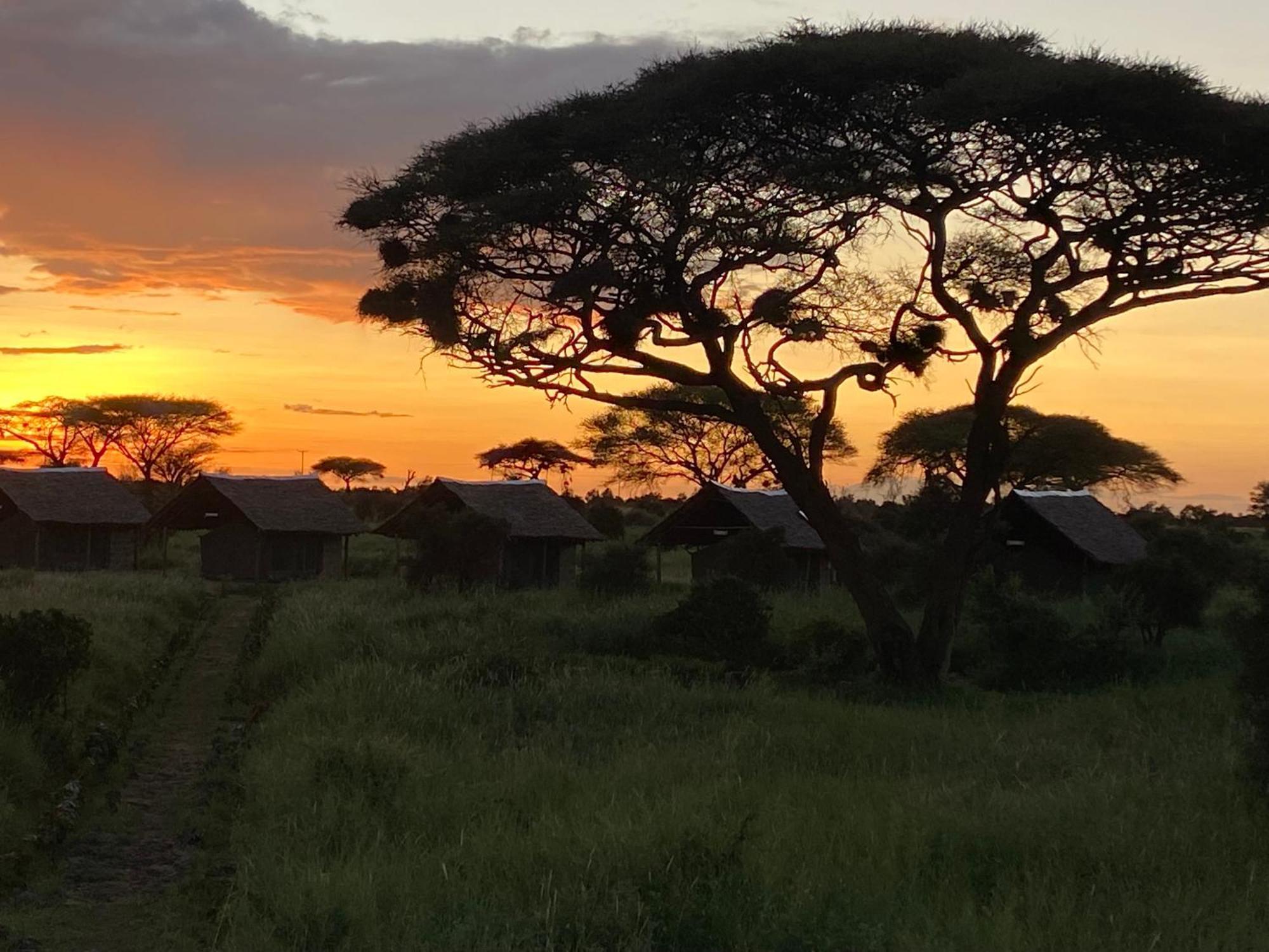 Amboseli Discovery Camp Екстер'єр фото