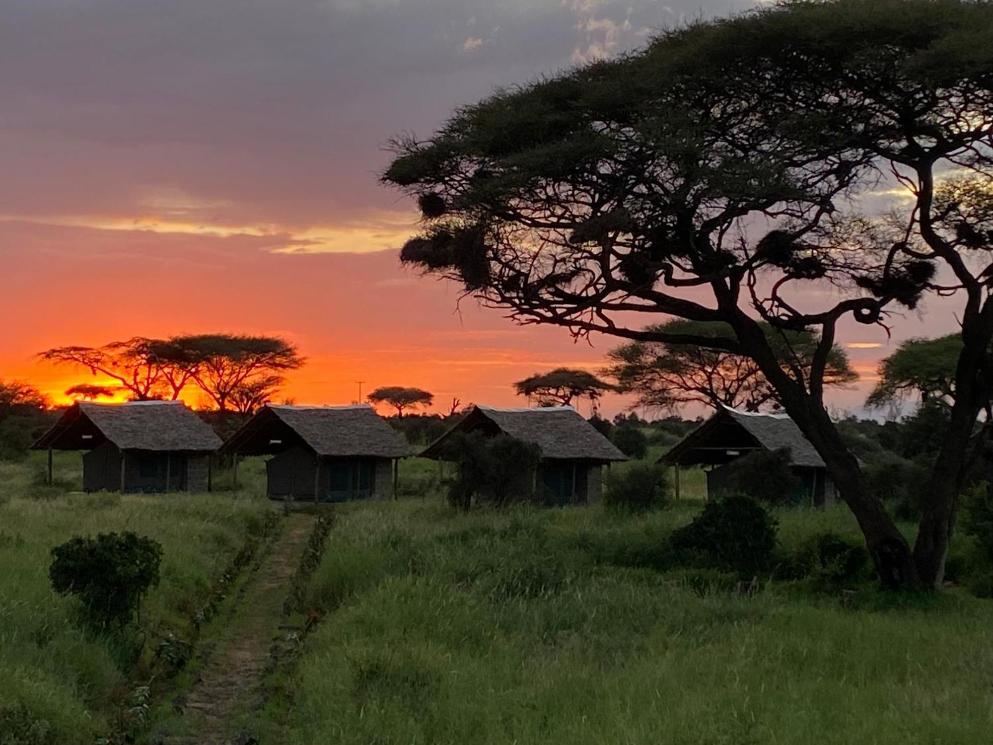 Amboseli Discovery Camp Екстер'єр фото