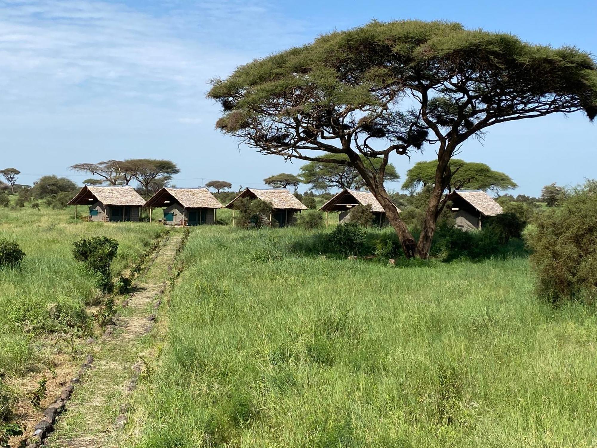 Amboseli Discovery Camp Екстер'єр фото